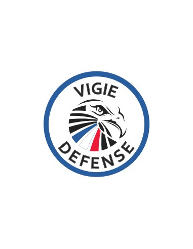 Carabine AR15 - VD223 - VIGIE DEFENSE