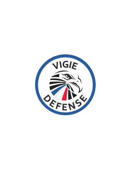 Carabine AR15 - VD223 - VIGIE DEFENSE