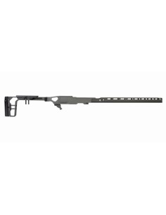 La Chassis 10/22 DLX 16'' (Folding Stock/Long Forend) - GREY BIRCH