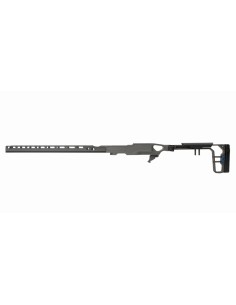 La Chassis 10/22 DLX 16'' (Folding Stock/Long Forend) - GREY BIRCH 2