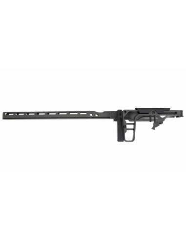 La Chassis 10/22 DLX 16'' (Folding Stock/Long Forend) - GREY BIRCH