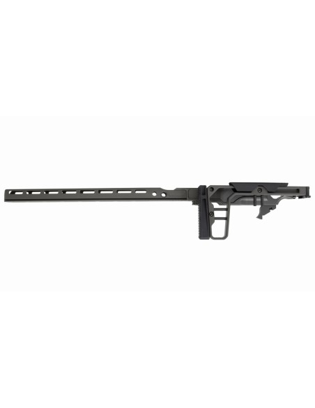 La Chassis 10/22 DLX 16'' (Folding Stock/Long Forend) - GREY BIRCH