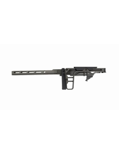 La Chassis 10/22 DLX 10'' (Folding Stock/medium Forend) - GREY BIRCH