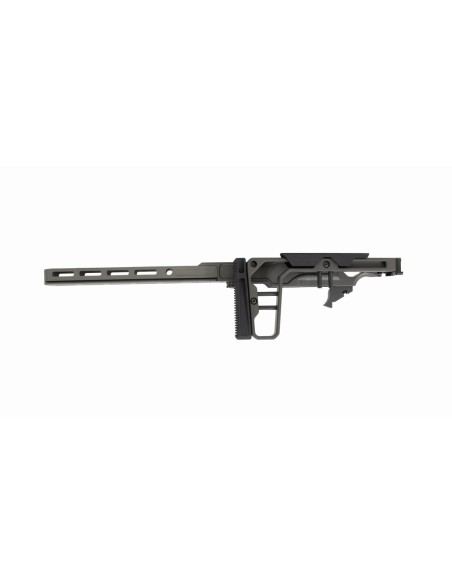 La Chassis 10/22 DLX 10'' (Folding Stock/medium Forend) - GREY BIRCH
