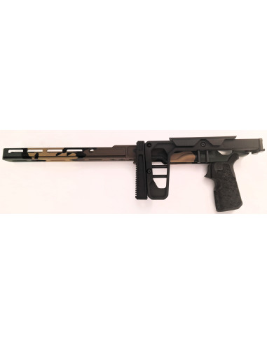 La Chassis 10/22 DLX 10'' (Folding Stock/medium Forend) Camo WOODLAND M81 – Édition Limitée  - GREY BIRCH