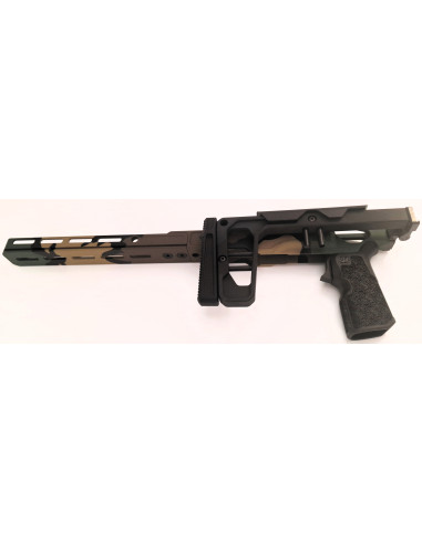 La Chassis 10/22 DLX 10'' (Folding Stock/medium Forend) Camo WOODLAND M81 – Édition Limitée  - GREY BIRCH