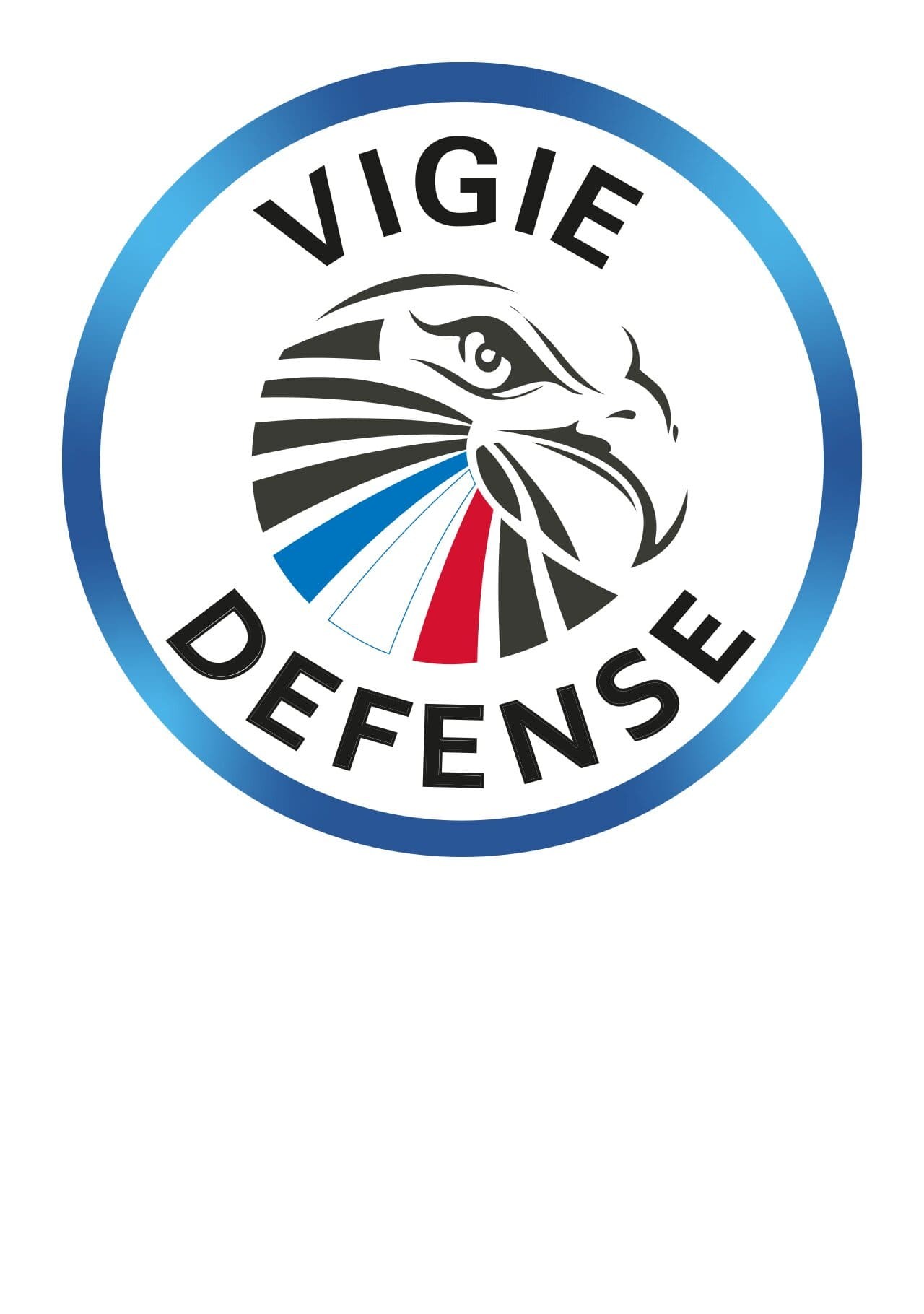 VIGIE DEFENSE